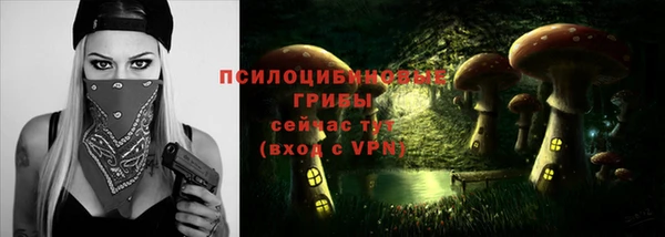 крисы Заволжск