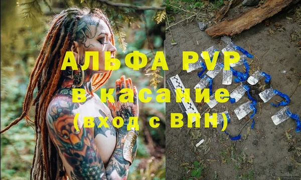 стаф Шарыпово