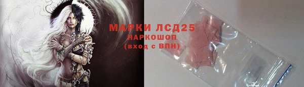 твердый Шадринск
