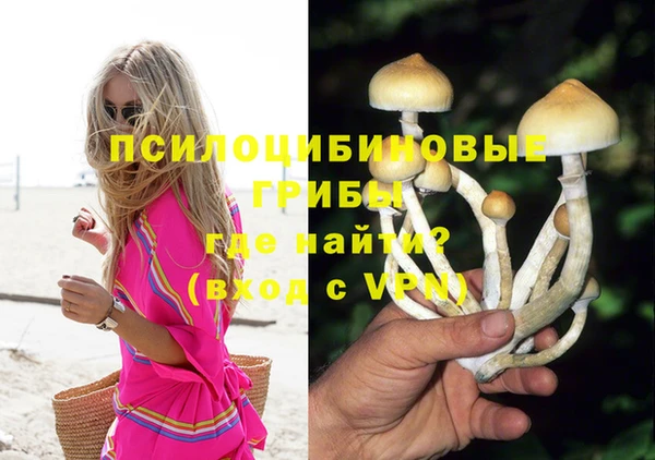 марихуана Заводоуковск