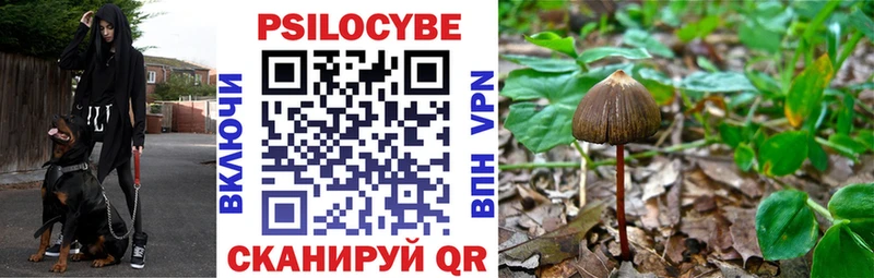 Купить  Нягань  Псилоцибиновые грибы ЛСД 